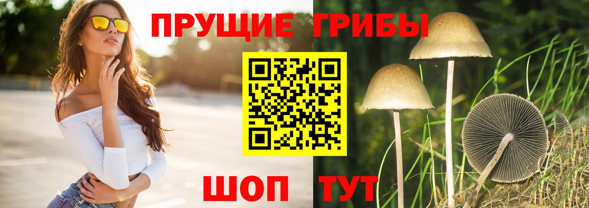 Галлюциногенные грибы Psilocybine cubensis  Галлюциногенные грибы MAGIC MUSHROOMS  Кириши  Вход с VPN 